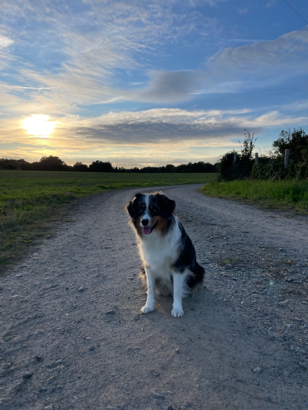 U2 Du P’tit Paradis D’Oryon